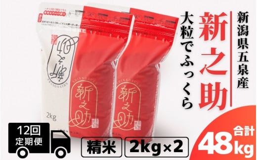 【令和7年産】〈12回定期便〉 新之助 精米 4kg（2kg×2袋）新潟県 五泉市 有限会社ファームみなみの郷