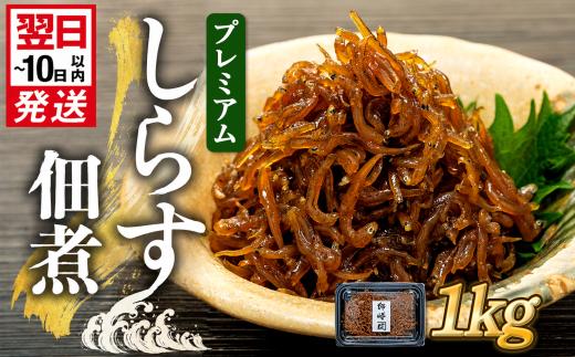 プレミアム 釜揚げ しらす 佃煮 1kg(100g×10パック) 小分け 減塩 無添加 無着色 冷凍 愛知県 南知多町 ご飯 ごはん 丼 料理 国産 カネ成 シラス 人気 おすすめ シラス しらす しらすごはん shirasu sirasu SIRASU 人気シラス