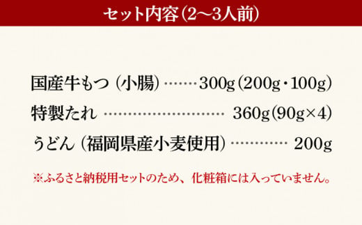 鶏家もつすきセット2～3人前（ふるさと納税限定セット）（株）匠家
