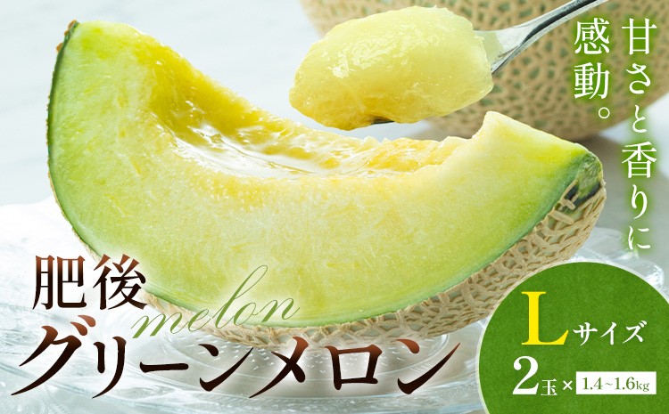 
                  メロン 肥後グリーンメロン 中 Lサイズ 2玉 約1.4～1.6kg×2 MOTOYAMA358FARM 《2027年5月中旬-6月下旬頃出荷》 熊本県 菊池市 メロン 果物 フルーツ 九州産 国産 送料無料
                