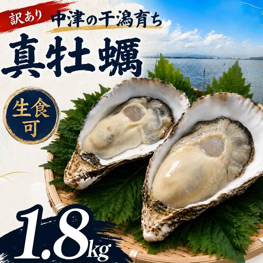 【訳あり】殻付き真牡蠣 1.8kg | かき 真牡蠣 生食用 殻付き 海鮮 魚介 海のミルク おつまみ おかず 訳あり 家庭用 大分県 中津市