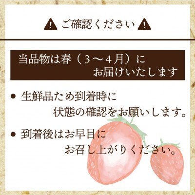 博多あまおう2パック(春)『2024年3～4月発送』(岡垣町)【配送不可地域：離島・北海道・沖縄県・東北】