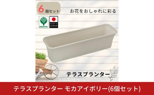 テラスプランター モカアイボリー 6個セット 軽量 割れにくい おしゃれ 植木鉢 園芸 ガーデニング 室内 屋外 ベランダ 花 野菜 初心者向け ガーデニング用品 園芸用品 庭いじり 【010S854】