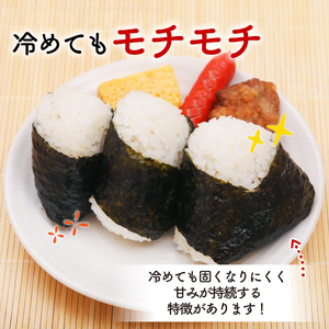 2ヶ月 定期便 米 2kg ひとめぼれ米