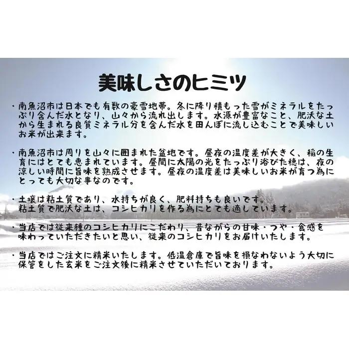 【令和7年度】【定期配送】南魚沼産コシヒカリ特別栽培米 白米 5kg 全12回 | コシヒカリ