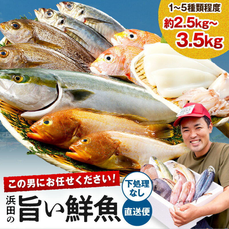 【ふるさと納税】この男に任せてみませんか〜浜田の旨い鮮魚直送便(下処理なし) 〜 海鮮 鮮魚 詰め合わせ セット おまかせ 旬 直送便 人気 お取り寄せ 【006_1952】