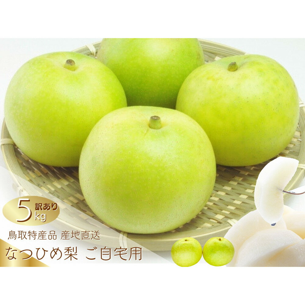 【ふるさと納税】数量限定 鳥取県産 梨 訳あり ご自宅用 なつひめ 5kg | フルーツ 果物 くだもの 食品 人気 おすすめ 送料無料