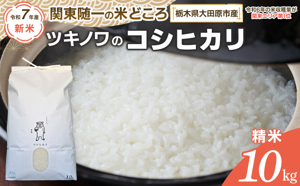 【令和7年産】ツキノワのコシヒカリ 精米 10kg ｜お米 白米 ご飯 コメ 栃木県 大田原市
