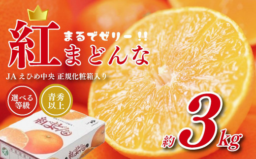 紅まどんな JAえひめ中央 正規化粧箱入 等級 青秀以上 【2026年11月下旬頃から順次発送】  |  JA 紅まどんな 紅マドンナ まどんな マドンナ みかん ミカン 蜜柑 果物 くだもの フルーツ 柑橘 柑橘類 かんきつ 愛媛果試第28号 常温 国産 愛媛 愛媛県