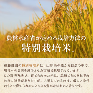 米 令和6年 特別栽培米 コシヒカリ 5kg [遠藤農園 山形県 高畠町 tk06ayt120001] こしひかり 5キロ お米 ブランド米 ごはん ご飯 白米 精米 こめ