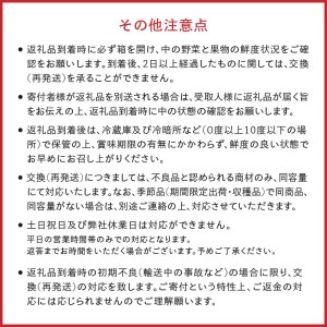 江刺りんごと岩手県産野菜セット【12月お届け】離島配送不可 [AQ017]