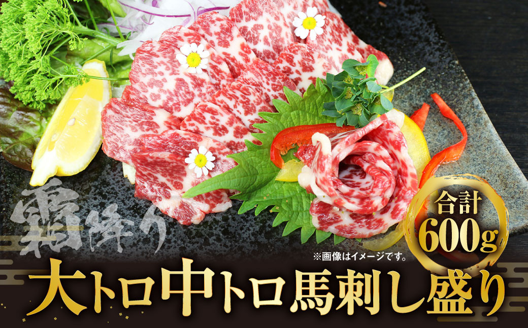 
大トロ 中トロ 馬刺し盛り 600g お肉 肉 霜降り 食べ比べ 馬肉 醤油 生姜 300g×2
