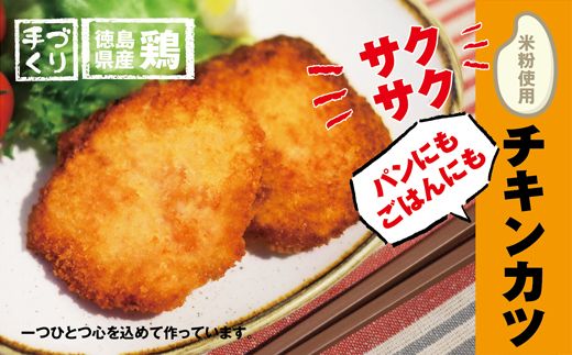 【CF】【米粉使用】いつもの食卓にヘルシーなチキンカツ　※離島不可《30日以内に出荷予定(土日祝除く)》---sanagouchi_ans_30_20p---