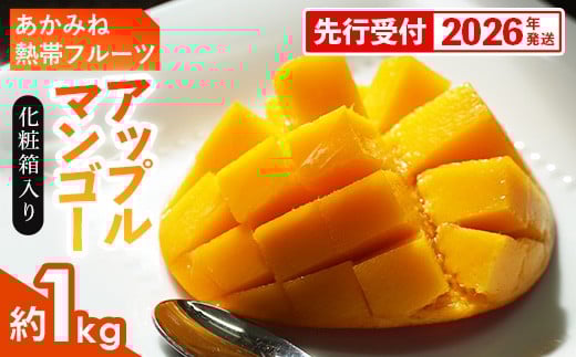 
            【化粧箱入】【先行受付・2026年発送】あかみね熱帯フルーツのアップルマンゴー約1kg - 先行予約 沖縄県産 産地直送 南国フルーツ 旬の味覚 季節の果物 贈り物 ギフト 沖縄県 八重瀬町
          