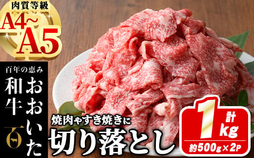 
おおいた和牛 切り落とし (計1kg ・500g×2P) 国産 牛肉 肉 霜降り A4 A5 黒毛和牛 すき焼き しゃぶしゃぶ 焼肉 和牛 豊後牛 ブランド牛 冷凍【HE01】【(株)吉野】
