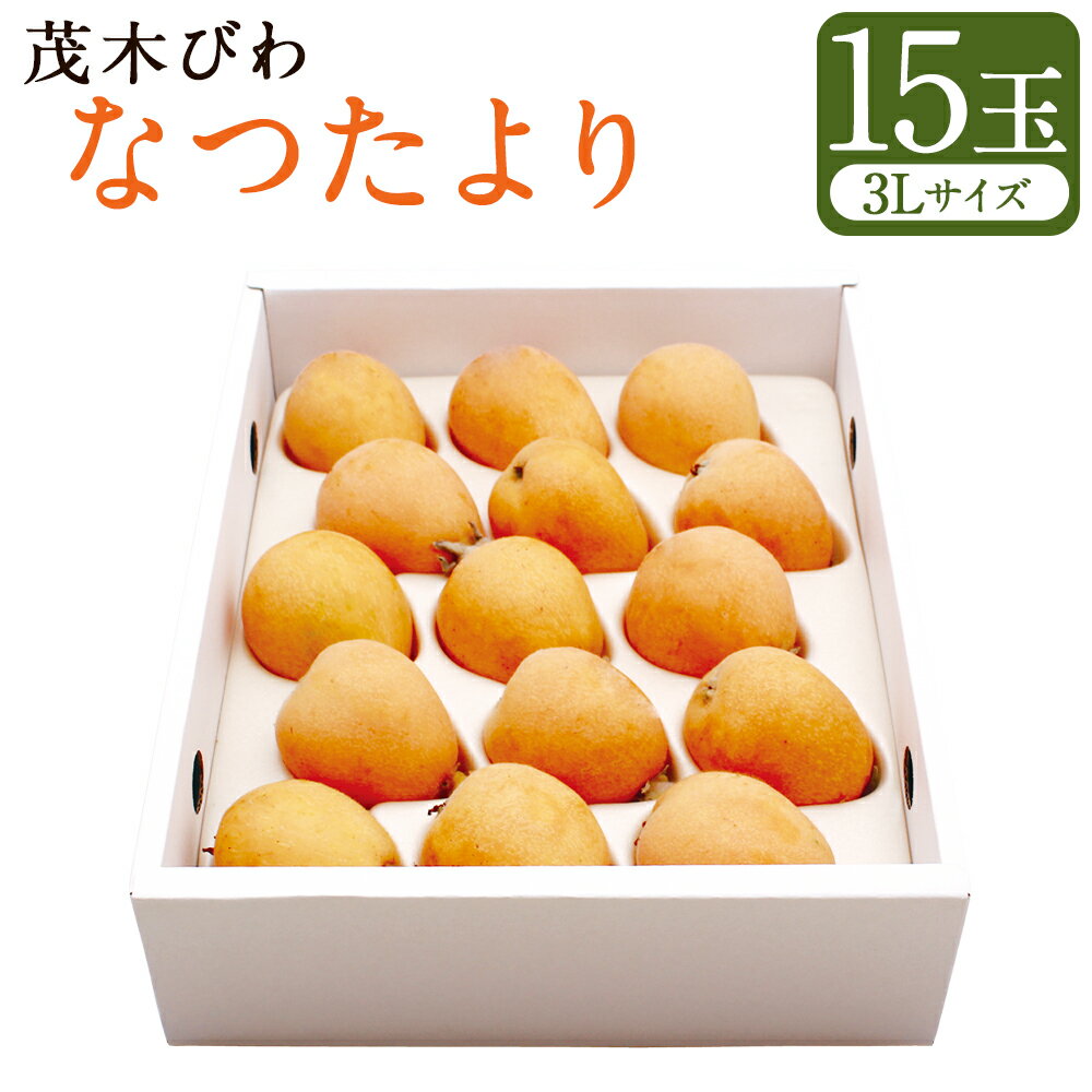 【ふるさと納税】先行予約 茂木 びわ『なつたより』 3Lサイズ 15玉入り | フルーツ 果物 くだもの 枇杷 アフター保証 送料無料【2027年5月下旬-6月上旬発送予定