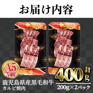 A5等級鹿児島県産黒毛和牛カルビ焼肉(計400g・200g×2パック×1回) カルビ 焼肉 黒毛和牛【カミチク】A749