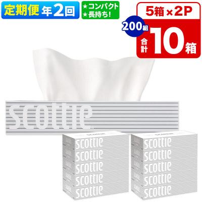 ふるさと納税 秋田市 《2回定期便》ティッシュペーパー スコッティ10箱 5箱×2P|15_nsc-050202
