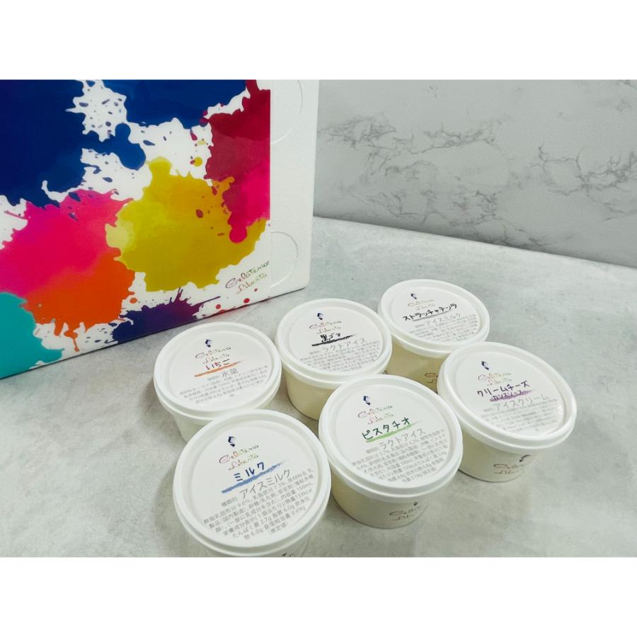 ＜Gelateria Liberta（ジェラテリアリベルタ）＞ジェラート騎士が贈る、ジェラートギフト６個セット100ml×6個