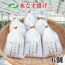 【ふるさと納税】期間限定 水なす漬け 6個 泉州 水なす ぬか漬け 浅漬け 皮が薄い 水分が多い 柔らかい あくが少ない おいしいお塩を使用 大阪泉州地方産 食品 食べ物 漬物 野菜 お取り寄せ 冷蔵 関西 大阪府 泉佐野市 送料無料【先行予約】