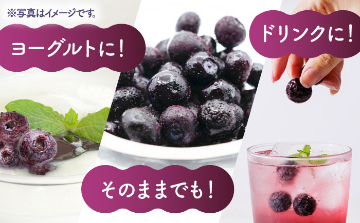【3回定期便】【訳あり】 冷凍ブルーベリー 小粒 約2kg（約500g×4pc） 【すみれファーム】 [ZEP050]