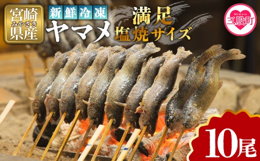＜新鮮冷凍ヤマメ 10尾＞国産 九州産 尺ヤマメ 山女魚 水産物 魚 魚介 川魚 養殖魚 塩焼き 【MI771-sk】【有限会社しゃくなげの森】
