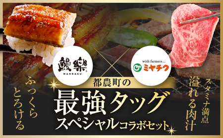 ≪数量限定≫うなぎ×宮崎牛 都農町最強セットC 肉 牛 牛肉 焼肉 国産_T030-073【人気 うなぎ 肉 ギフト うなぎ 肉 食品 うなぎ 肉 おかず うなぎ 肉 お土産 うなぎ 肉 贈り物 うな