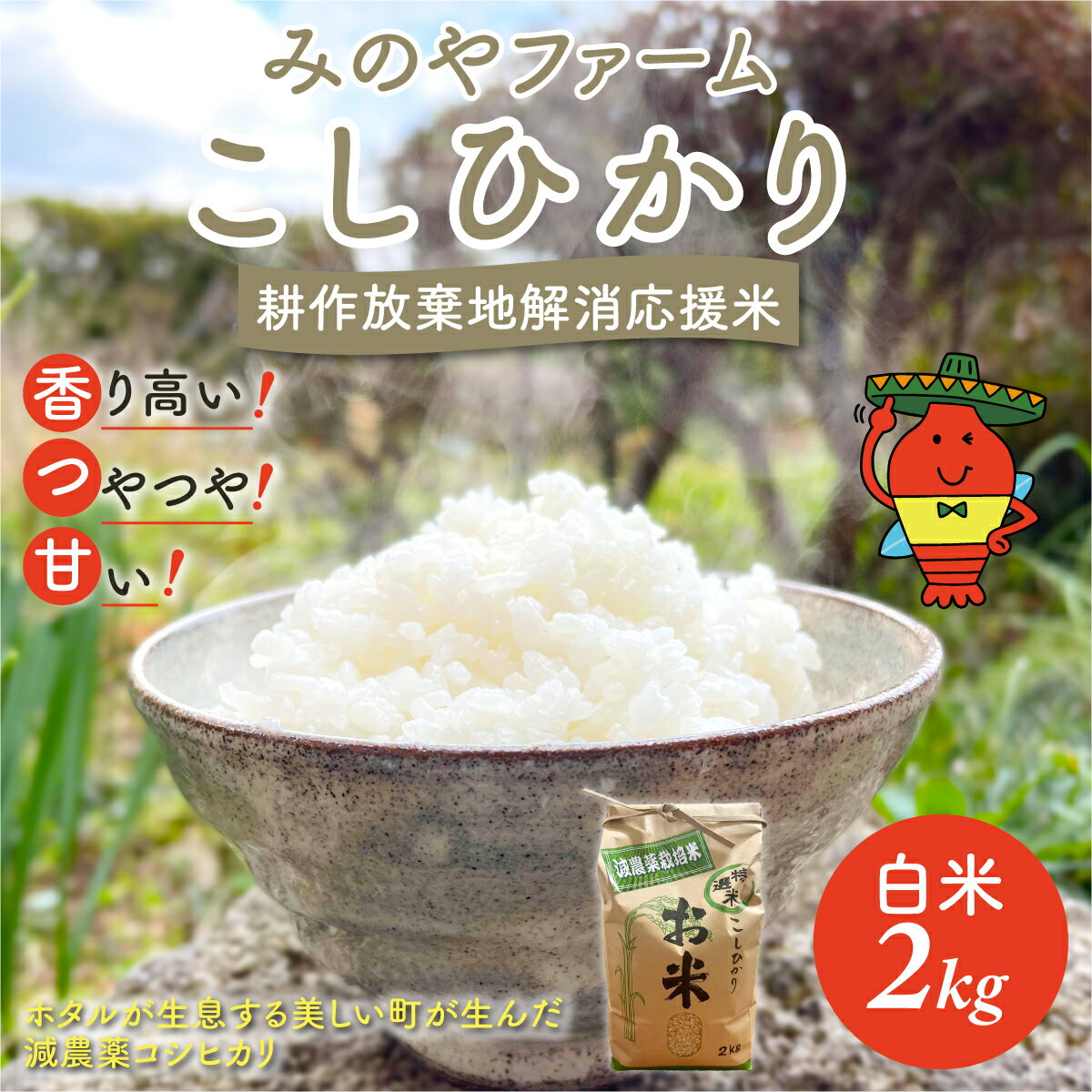 【ふるさと納税】令和8年産 こしひかり 2kg 3kg 5kg（白米） みのやファーム 耕作放棄地解消応援米 【 コシヒカリ こしひかり おいしい お米 米 こめ 自然栽培 贈り物 ギフト 千葉県 御宿町 人気 おすすめ ランキング 】 ONJF001