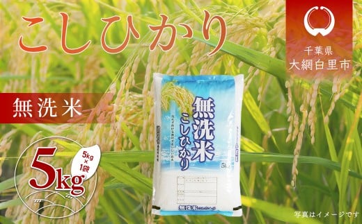 令和7年産 千葉県産「コシヒカリ」無洗米 5kg（5kg×1袋） ふるさと納税 米 無洗米 コシヒカリ こしひかり 千葉県 大網白里市 A051