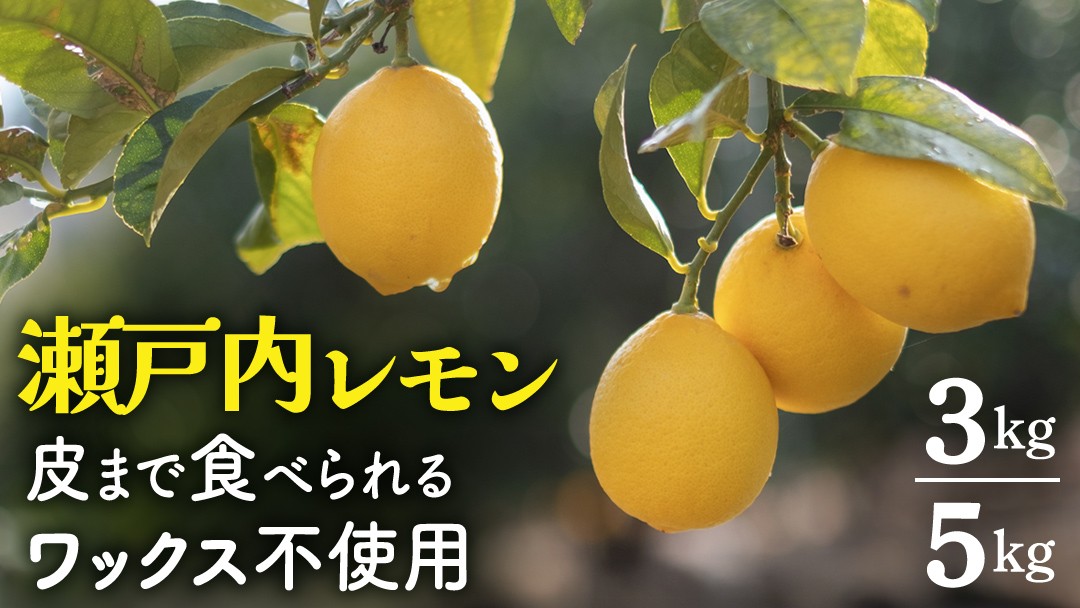 
            せとうちレモン 約3kg/約5kg 12～2月発送 瀬戸内 国産 レモン 瀬戸内レモン 檸檬 柑橘 防腐剤 ワックス 不使用 皮まで丸ごと食べられる 広島県 大崎上島町 離島 産地直送 岩﨑農園
          