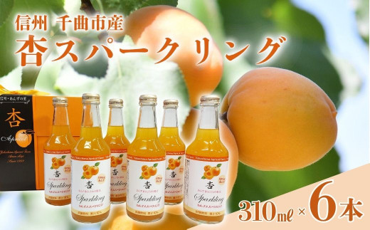 杏スパークリング (炭酸ノンアルコール6本セット)｜ あんずサイダー 炭酸飲料 サイダー ご当地サイダー 杏仁 フルーツサイダー 千曲市 長野県産 信州
