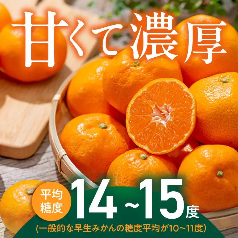 【2026年先行予約】「高級 田村みかん」青秀 約3kg Sサイズ 和歌山県有田産 有田みかん_U6238n