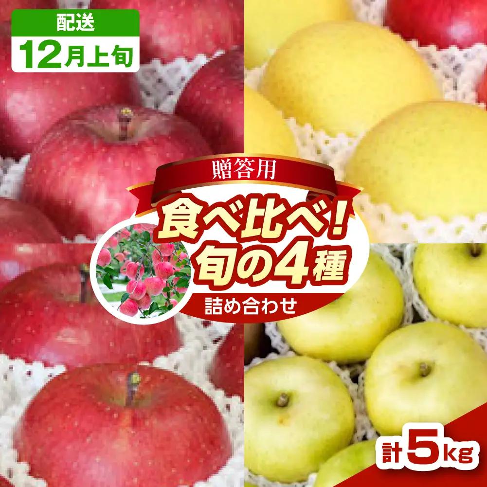 【2026年12月上旬発送】 りんご 約5kg 青森県産 《贈答用》 りんご4品種食べ比べ