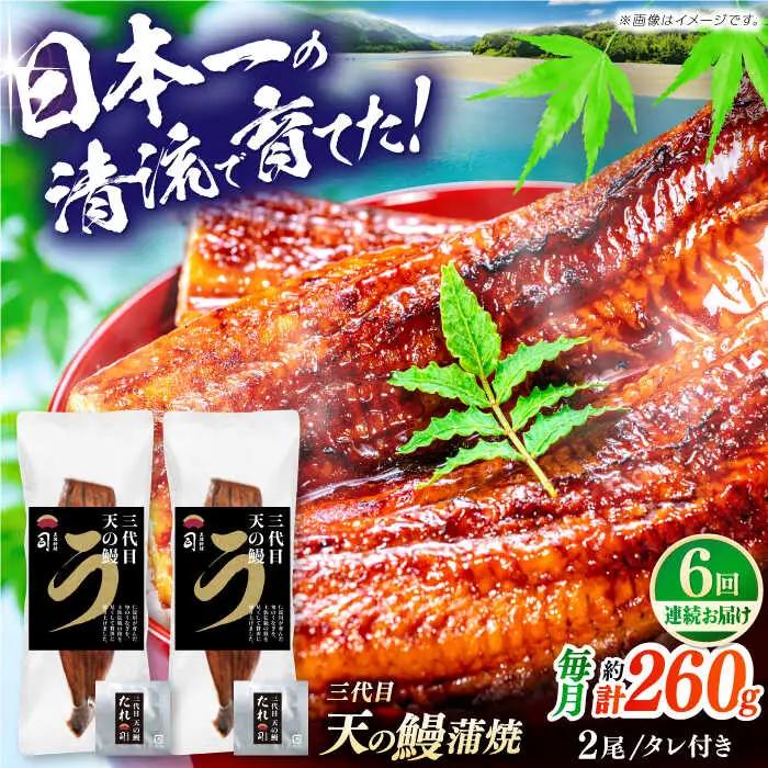 【6回定期便】三代目天の鰻蒲焼 2尾 / 鰻 鰻蒲焼 鰻蒲焼き 鰻 鰻蒲焼 鰻蒲焼き[ATAD060]