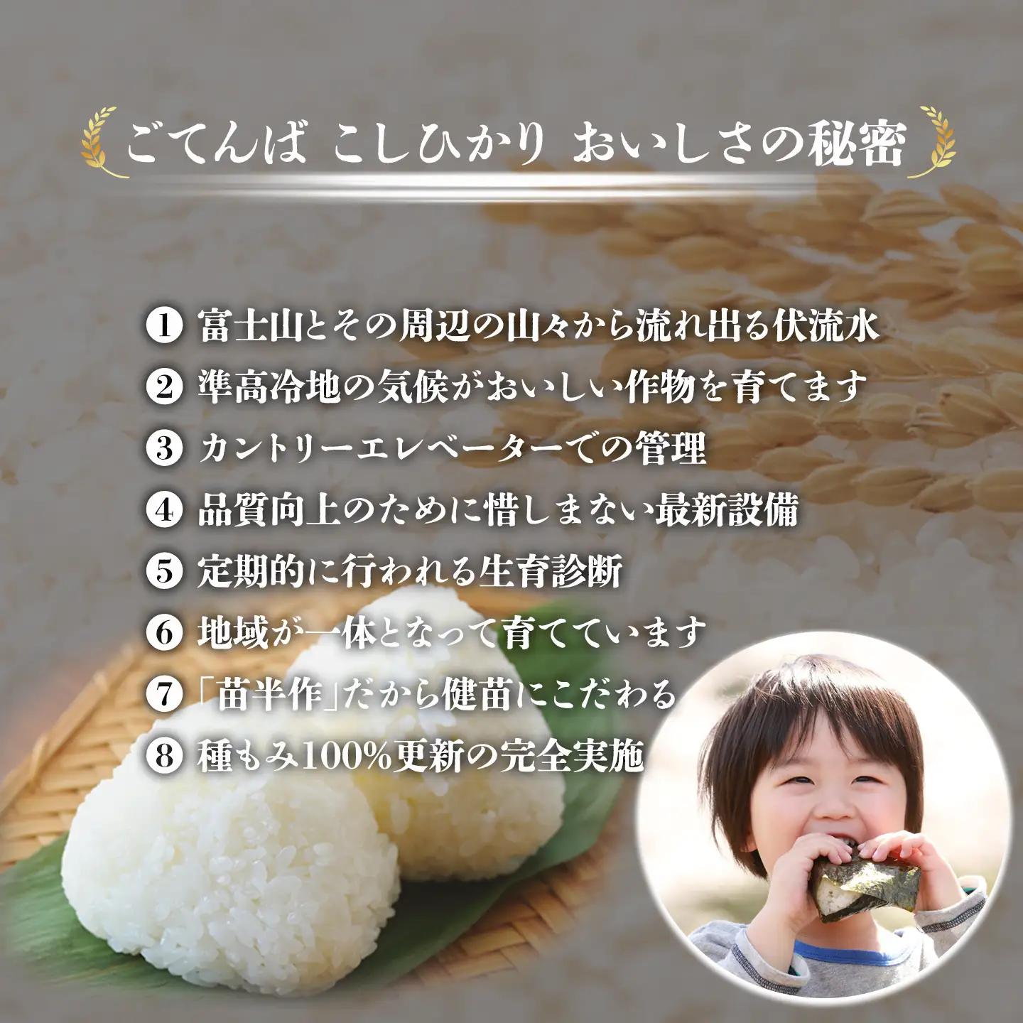 先行予約 12月発送 新米 令和8年産 精米 こしひかり 5kg コシヒカリ