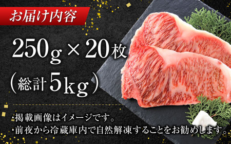 【訳あり】博多和牛 サーロイン ステーキ セット 5kg（250g×20枚） 広川町/株式会社MEAT PLUS[AFBO013]