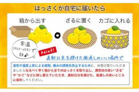 内容量：約5kg（3L～L）
