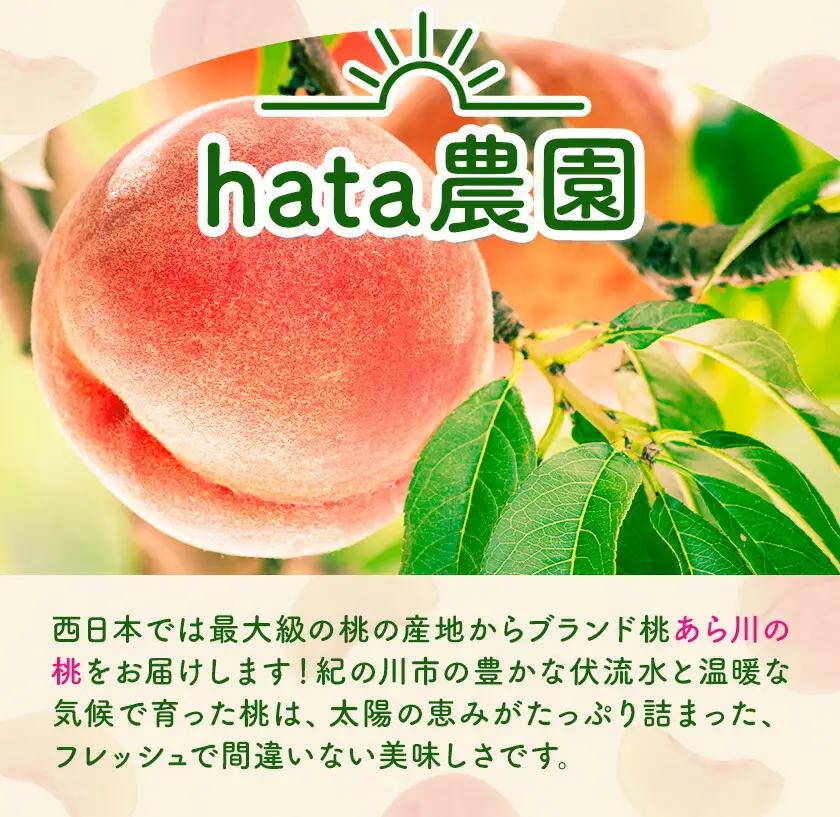 桃 hata農園 直送 あら川の桃 約2kg 5-8玉 And《2026年6月下旬-8月上旬頃出荷》和歌山県 紀の川市 フルーツ 果物 あらかわの桃 もも 【玉数指定不可】