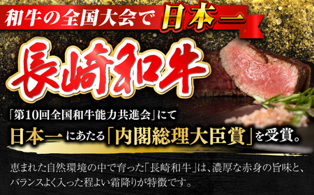 【日本一の和牛】 長崎和牛 出島ばらいろ シャトーブリアン ヒレ 計900g（150g×6枚） 【合同会社肉のマルシン】[RCI055]