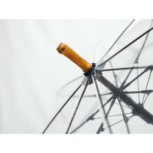 高級 ビニール 傘 竹跳-凛- 藍 透明 クリア 傘 傘 傘 ﾋﾞﾆｰﾙ傘 ﾋﾞﾆｰﾙ傘 ﾋﾞﾆｰﾙ傘