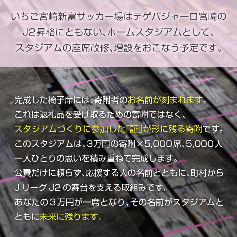 ＜寄附のみ＞ 返礼品なし いちご宮崎新富サッカー場 改修整備 1口 30,000円 J2昇格 テゲバジャーロ宮崎 サッカー Jリーグ J2 スポーツ 社会貢献 地域活動 応援寄附 サポーター【S27】