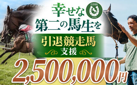 【幸せな第二の馬生を】引退競走馬支援 2,500,000円 【CLUB RIO】 支援 動物支援 動物保護 返礼品なし[HBY011]