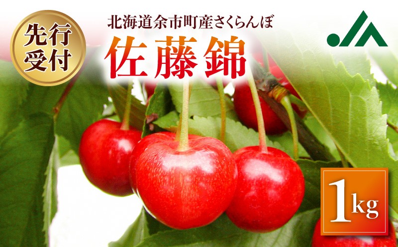 
                  【先行受付：2026年7月初旬以降発送分】さくらんぼ（佐藤錦） 1kg
                