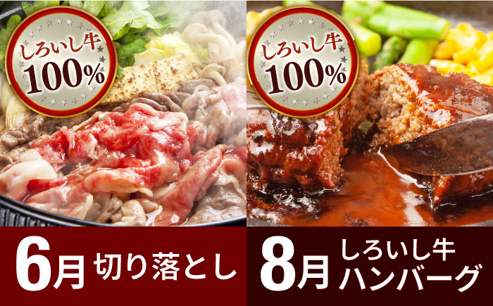 【R8年3月以降発送】【全4回定期便】産地直送！白石町産 いちごと牛肉の定期便 [IZZ019]