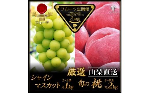 ＜発送月固定定期便＞フルーツ定期便全2回【4066752】