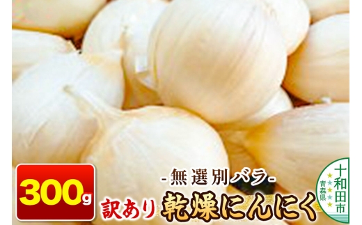 訳あり 乾燥にんにく 無選別バラ300g 青森県産 [ニンニク にんにく 野菜 根菜 国産 青森 十和田市]