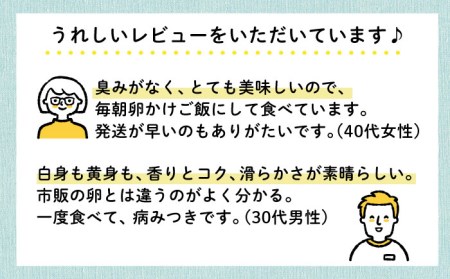 《月2回 × 20個 12ヶ月コース》卵 てつやとのりこの玉子 全24回定期便 糸島市 / 板垣ファーム  [AWD014] 玉子 たまご 卵 ビタミン卵 ミネラル卵 福岡卵 九州卵 ビタミンたまご 