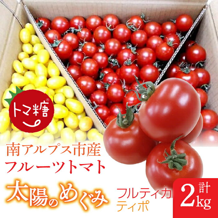 【ふるさと納税】フルーツトマト「太陽のめぐみ」2kg（フルティカ＆ティポ） トマト　野菜　食べ物　ミニトマト　フルーツトマト ALPBI003