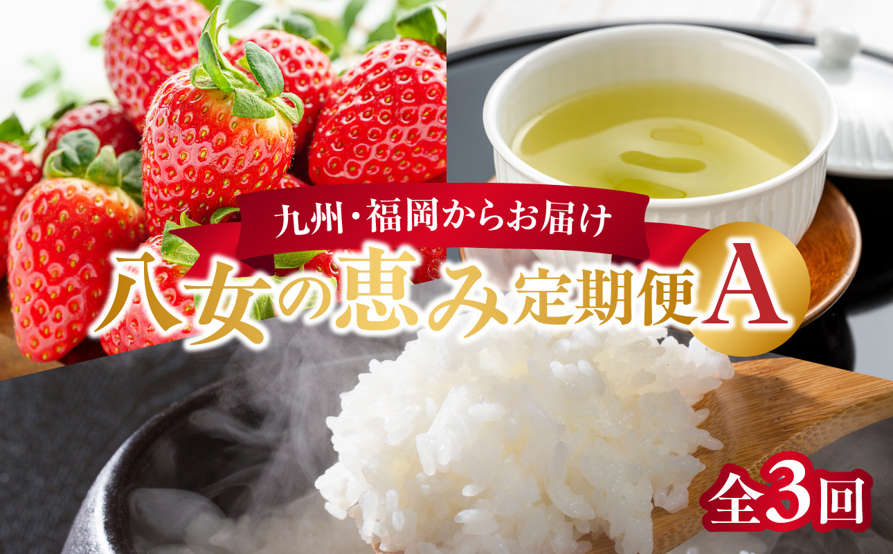 
            九州・福岡からお届け！八女の恵み定期便【全３回】 A｜＜配送不可：北海道・沖縄・離島＞
          