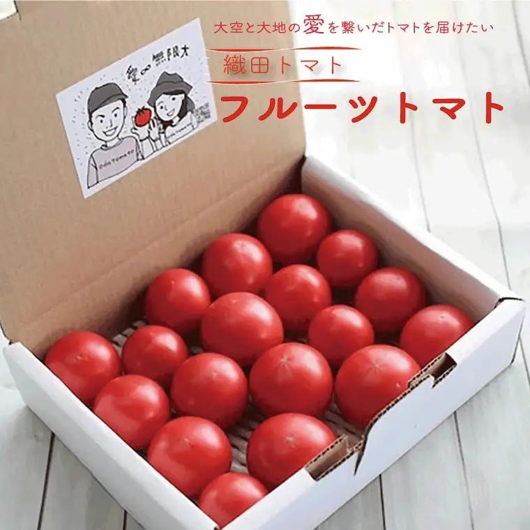 ≪2027年1月頃～発送≫ 織田トマト フルーツトマト 約1kg 高知 真っ赤なフルーツ太陽　＜毎年1月頃～５月頃まで発送＞